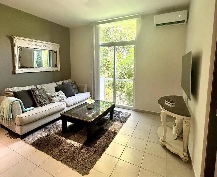 Depa En Centro Playa Del Carmen Apartment